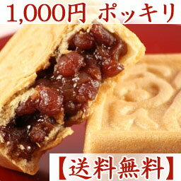 1000円ポッキリ★【送料込み】 餅入り 『館最中』3個詰【簡易梱包・簡易箱】オマケも!? できたて　 05P17Aug12