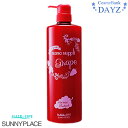 サニープレイス ナノサプリ クリニックトリートメント 1000mL グレープ エッセンスコンデ ヘアオペ