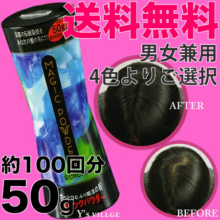 【送料無料｜あす楽対応】マジックパウダー 50g 【約100回分】【薄毛隠し/薄毛カバー/…...:dayz7200:10035574