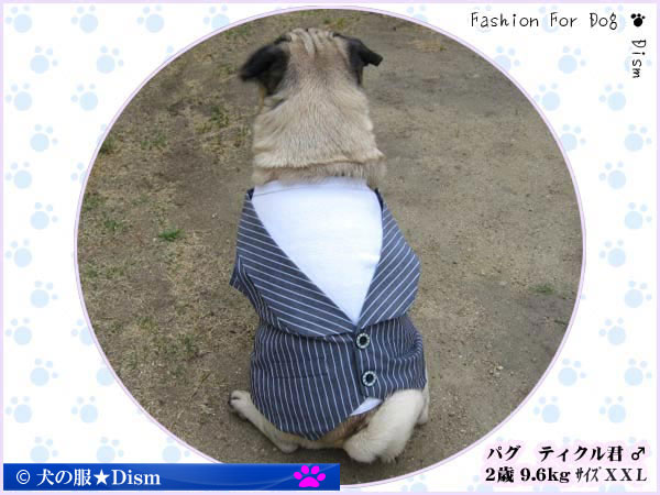 【サマーセール!!犬服2点購入でメール便送料無料】タキシード（小型犬・中型犬） 犬の服 ドッグウェア【HLS_DU】カジュアルにもモードにも対応できるデザイン性バツグンのタキシードです♪