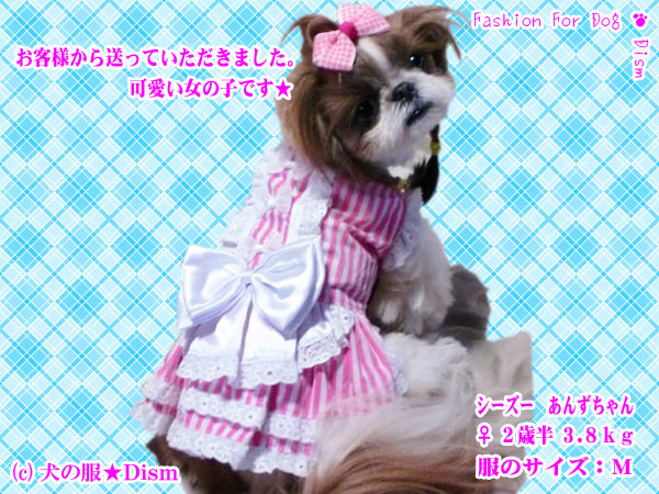 【犬服2点購入でメール便送料無料】メイド風ピンクストライプワンピ（小型犬・中型犬） スカート ドレス ワンピース ドッグウェア【HLS_DU】