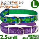 USA直輸入☆ ルパイン コンボカラー Lサイズ 2.5cm幅/後頭部周り48.3〜68.5cm (19〜27インチ)【Lupine ハーフチョークカラー 大型犬 首輪】【メール便OK】