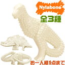 お試し価格☆ Nylabone ナイラボーン デンタルダイナソー ジャイアントサイズ (推奨体重:16kg〜23kg) USA直輸入 犬用おもちゃ ※お一人様1種類1つまで