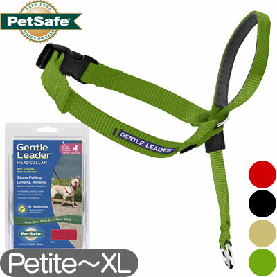 ybgZ[t WFg[_[ wbhJ[ Petite S M L XL PetSafe Premier v~A h~ g[jOpi Ai