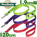 USA直輸入☆ Premier プレミアリード 幅1.9cm×長さ120cm ナイロン製【メール便OK】