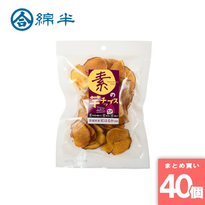 綿半プライベートブランド [取寄10][まとめ買い]【40個セット】素の芋チップス 60g [4589458496161]