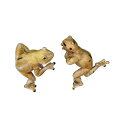 【代引き・同梱不可】ハンギングアニマル (カエル) ※2個セット 80462