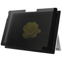 バッファロー 覗き見防止フィルター マグネットタイプ Surface Go専用 BFNMSFG01【日時指定不可】