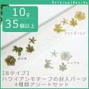 10g35個以上★【Bタイプ】ハワイアンモチーフの封入パーツ 4種類アソートセット【当社オリジナル】【アクセサリーパーツ,ハンドメイド 素材 UVレジン チャーム レジン パーツミックス セット 】
