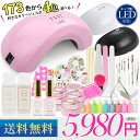 【宅急便送料無料】ジェルネイル スターター キット 【irogel】最新チップ型LEDライト搭載 話題のカラージェル(irogel)192色から4個選べるジェルネイルセット 初心者も簡単!説明書付き ジェルネイルランキング1位入賞! ネイル用品 お試し