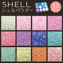 【12色セット】シェルパウダー★ 【メール便送料無料】スカルプやジェルネイルに！ 