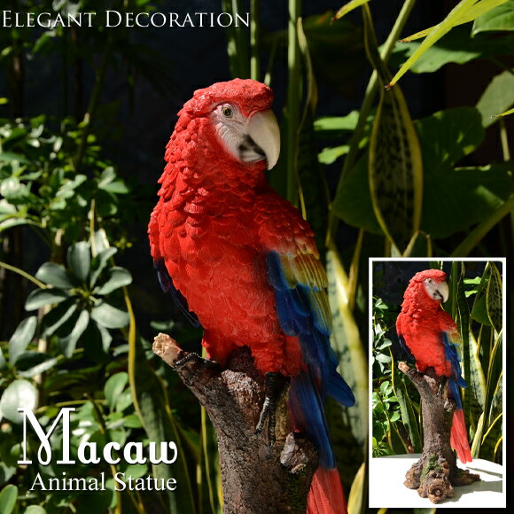 Macaw@RSECR@Ȓ`̒u@X^hIuWF@g@Ƃ@CR@IE@A@gsJ@AeB[N@G݁@@Aj}@@o[h@{@ԁ@bh@CeA@IV