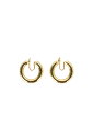 Middle Hoop Earring (Silver925) -GOLD (12990914) Todayful(トゥデイフル)