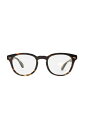 SHELDRAKE (A) - COCOBOLO (0OV5036A) Oliver Peoples(オリバーピープルズ)