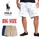 ポロラルフローレン POLO RALPH LAUREN ポニー総柄 カラーショーツ ハーフパンツ 9インチ 38 40 42インチ 大きいサイズ メンズ あす楽 父の日 ギフト ラッピング無料 プレゼント
