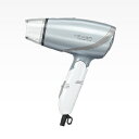 (お取り寄せ)TESCOM/テスコム TID320 S(シルバー) マイナスイオンヘアードライヤー