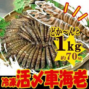 【2012 お中元 ギフト】【鹿児島産】訳あり！活〆冷凍車えび【小】1kg約70匹♪【2sp_120720_a】【SBZcou1208】05P123Aug12