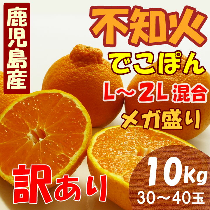 【送料無料】 鹿児島産　デコポン 不知火（しらぬい） 訳あり　10キロ（Lサイズ）　ハウス栽培