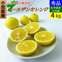【送料無料】 神奈川産 特別栽培 ゴールデンオレンジ 黄金柑 4キロ 減農薬!