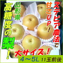【送料無料】 山形県 高糖度梨 5kg 8玉〜12