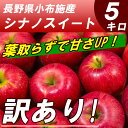 【送料無料】信州りんご 訳あり シナノスイート 5kg 葉取らず 長野産