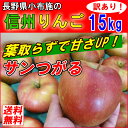 【送料無料】 訳あり 長野産 信州 りんご 15kg 小布施 規格外