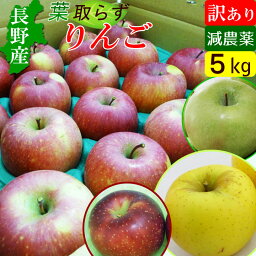 <strong>長野</strong>産 葉とらず <strong>りんご</strong> 訳あり 5kg 送料無料 減農薬 産地直送 お取り寄せ