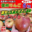 【送料無料】 長野産 小布施 有機肥料100% 訳あり りんご 5kg 葉とらず 小布施 規格外