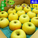 【送料無料】 長野産 信州 りんご シナノゴールド 5kg 小布施