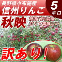 【送料無料】 訳あり 長野産 信州 りんご 秋映 5kg 規格外【9月下旬〜】