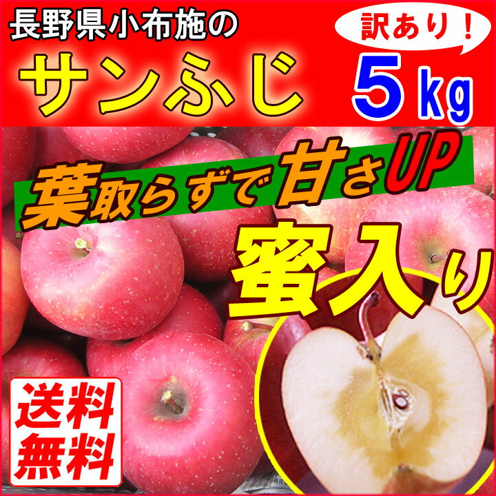  長野産 小布施　有機肥料100％　訳あり　 りんご　蜜入り　サンふじ　5kg　葉とらず 小布施　規格外小布施 サンふじ りんご 林檎 完熟 リンゴ 訳あり さんふじ 葉とらず