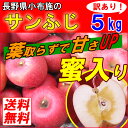 【送料無料】 長野産 小布施 訳あり りんご 5k