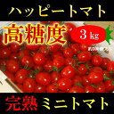 高知県 完熟 ハッピートマト (高糖度ミニトマト) 3kg 甘くておいしい!