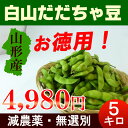 送料無料 山形産 白山 訳あり だだちゃ豆 5kg 減農薬 枝豆 アウトレット