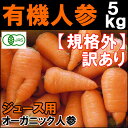 【有機JAS】無農薬にんじん 5kg 訳あり ジュース用人参...