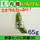 ¥ª¡¼¥¬¥Ë¥Ã¥¯ ͵¡¤¤¤ó¤²¤ó 80g ̵ÇÀÌô Ʀ ͵¡ÌîºÚ