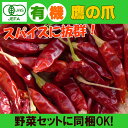 オーガニック 有機 鷹の爪 10g 唐辛子 トウガラシ 無農...
