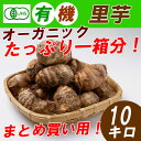 【送料無料】有機里芋 10キロ オーガニックさといも! まと...