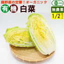 【送料無料】有機白菜 1/2カット(約800g) オーガニック 鍋野菜