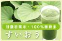 すいおうパウダー20g