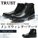 【あす楽】【送料無料】TRUST トラスト ウィン