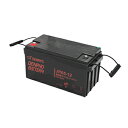 JR65-12 電菱 密閉型鉛蓄電池 12V65Ah(20時間率) <JRシリーズ>【T5端子(位置:P4)】 DENRYO BATTERY【キャンセル返品不可】