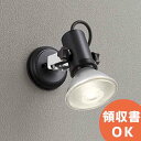 OX9731 オーデリック 屋外用LEDスポットライト ブラック