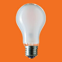 Panasonic VJd E26LW100V48W pi\jbN()