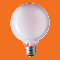 Panasonic lIsAd{[`EE26GW-N100V60W95 pi\jbN()