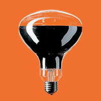 Panasonic td(Op)220VpEE26RF220V100WH pi\jbN()