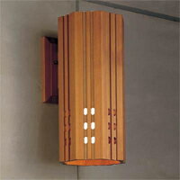 Ɩ@DECORATIVE LIGHTMAXRAYƖʋ E26 60WuPbg@}bNXCMB50039-21...