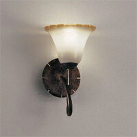 Ɩ@DECORATIVE LIGHTMAXRAYƖPS~jdiNvgEzCgjE17 40WuPb...
