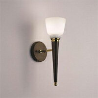 Ɩ@DECORATIVE LIGHTMAXRAYƖ~j{[izCgjE26 40WuPbg@}bN...