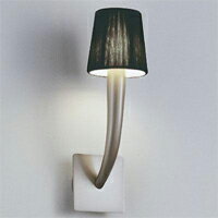 Ɩ@DECORATIVE LIGHTMAXRAYƖVfAizCgjE17 25WuPbg@}b...